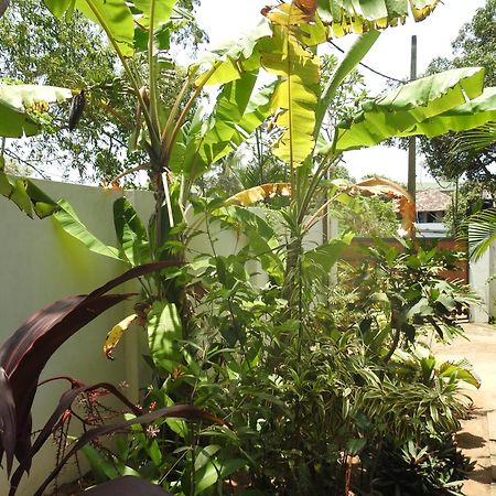 Alleppey Beach Garden Alappuzha Екстериор снимка