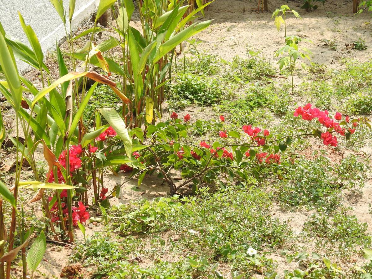 Alleppey Beach Garden Alappuzha Екстериор снимка