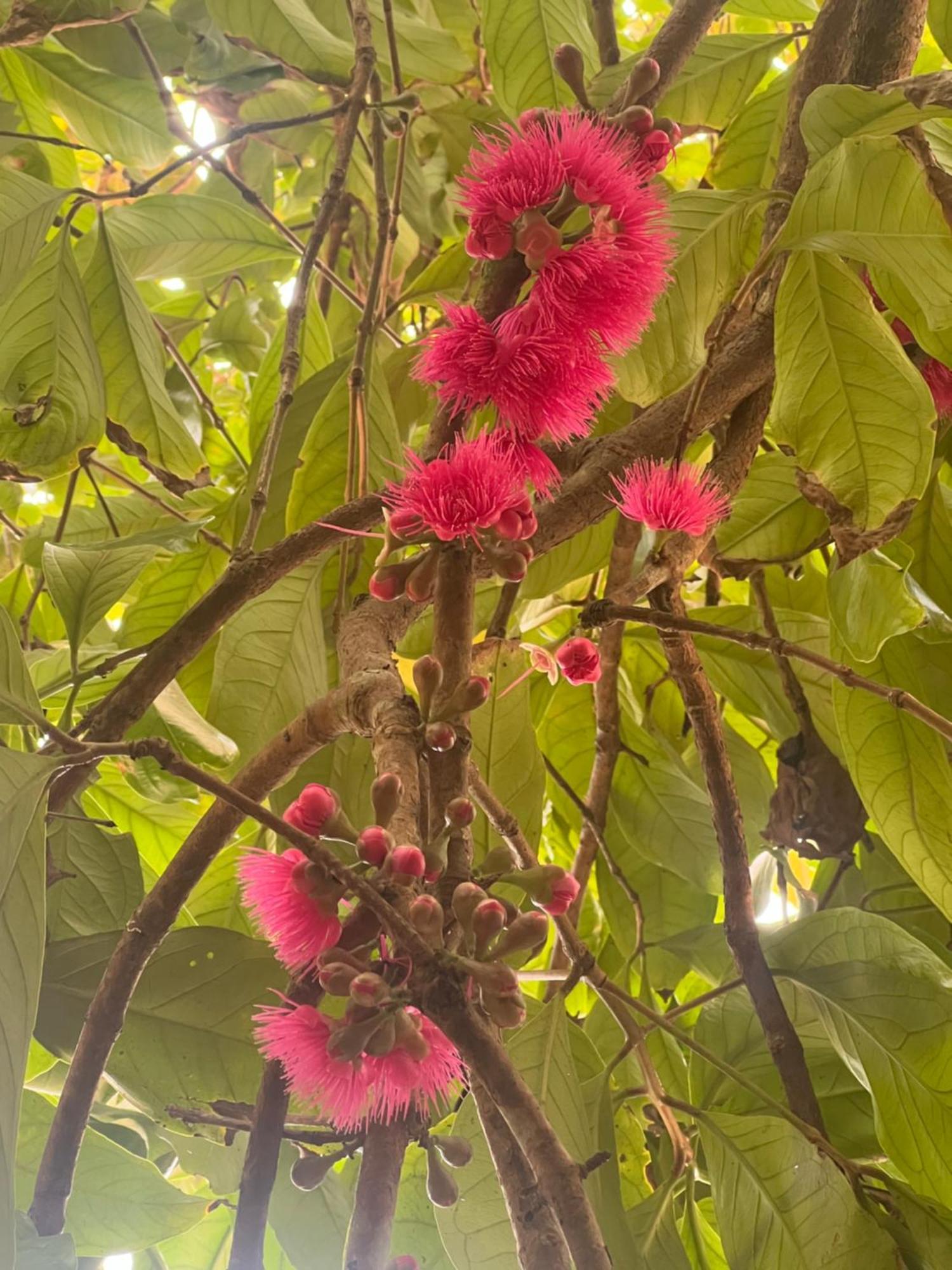 Alleppey Beach Garden Alappuzha Екстериор снимка
